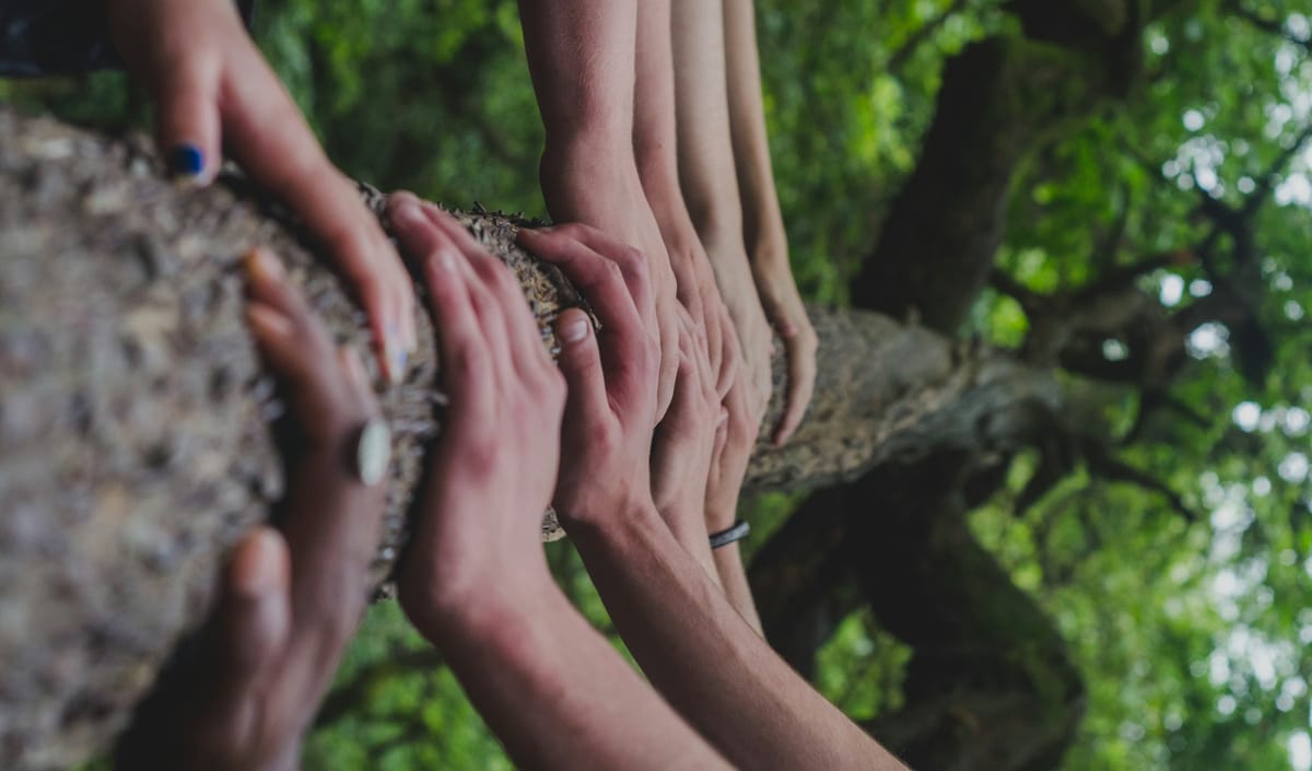 Multiple human hands holding a tree.